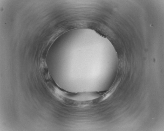 X0000071390141200607212247