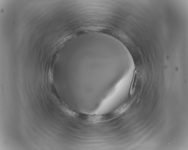 X0000071390143200607212247