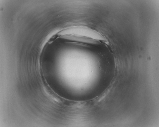 X0000071390148200607212246