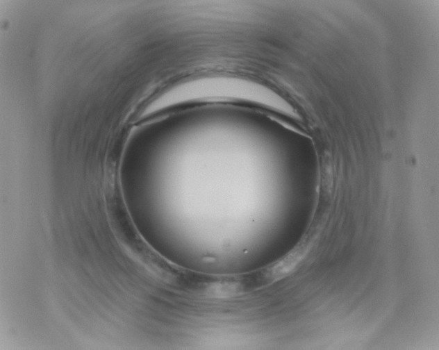 X0000071390168200607212246