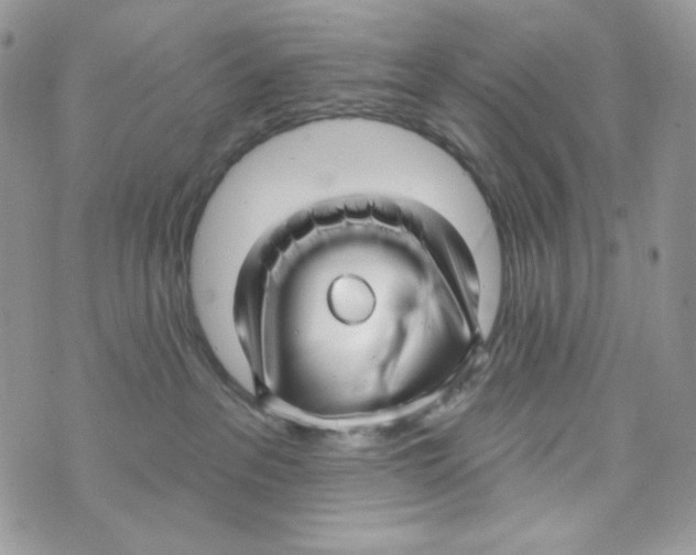 X0000071390237200607212245