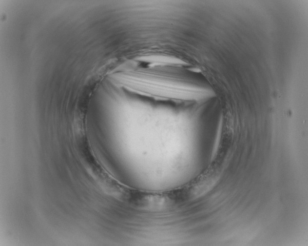 X0000071390272200607212245