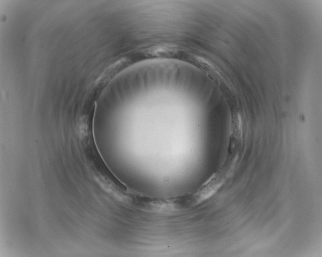 X0000071390284200607212245