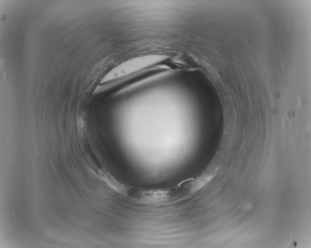 X0000071390288200607212245