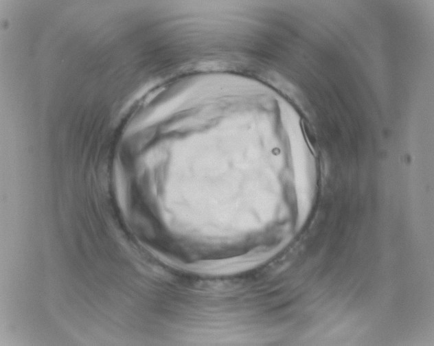 X0000071390297200607212244
