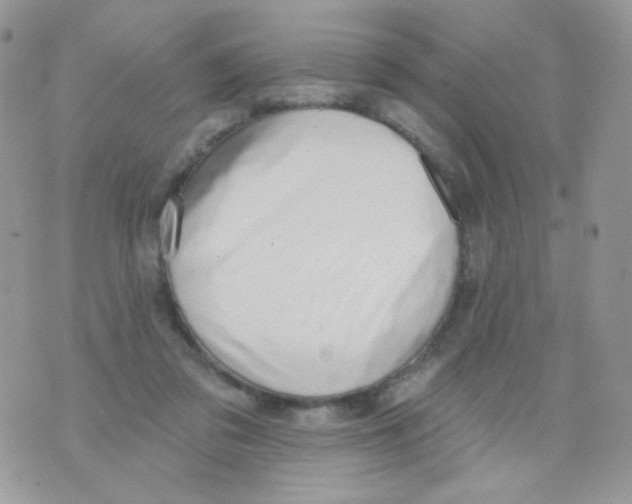 X0000071390309200607212244