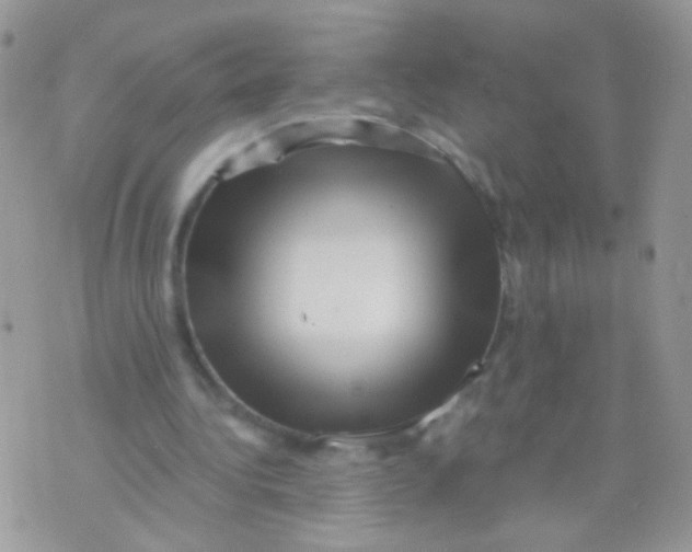 X0000071390340200607212243