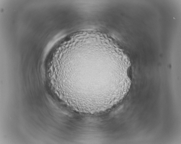 X0000071390343200607212243