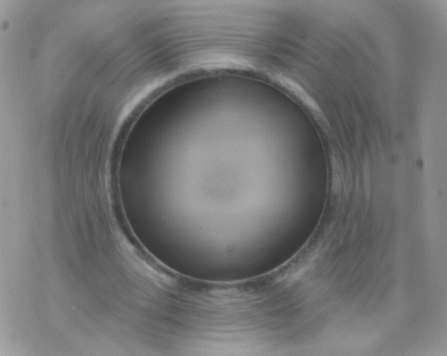X0000071390391200607212243
