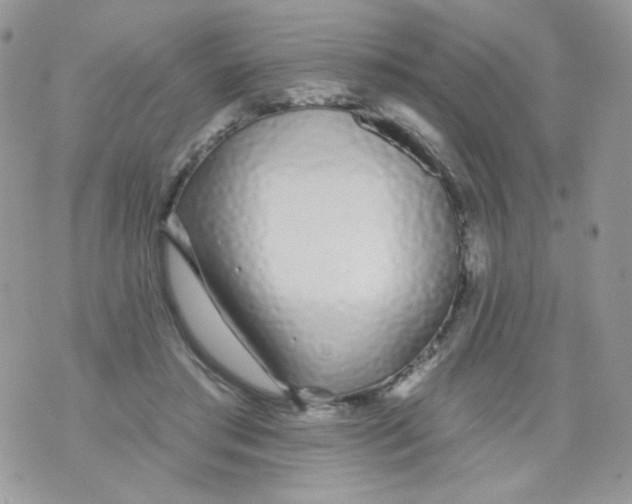 X0000071390405200607212242