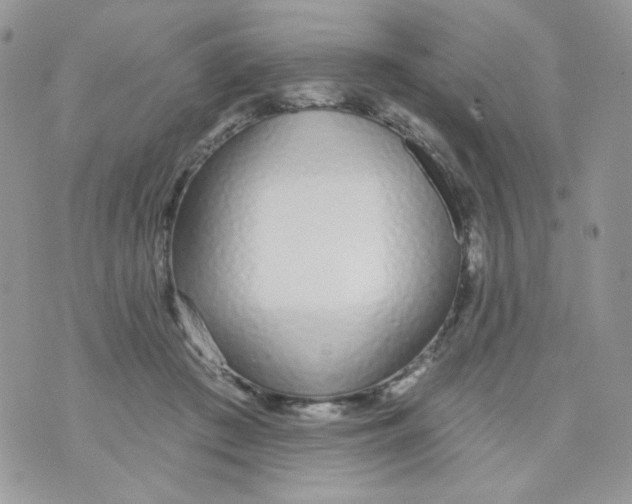 X0000071390409200607212242