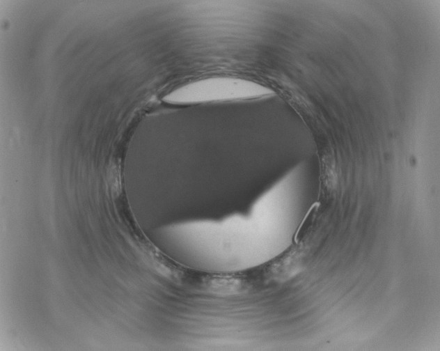 X0000071390471200607212242