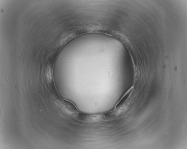 X0000071390479200607212242