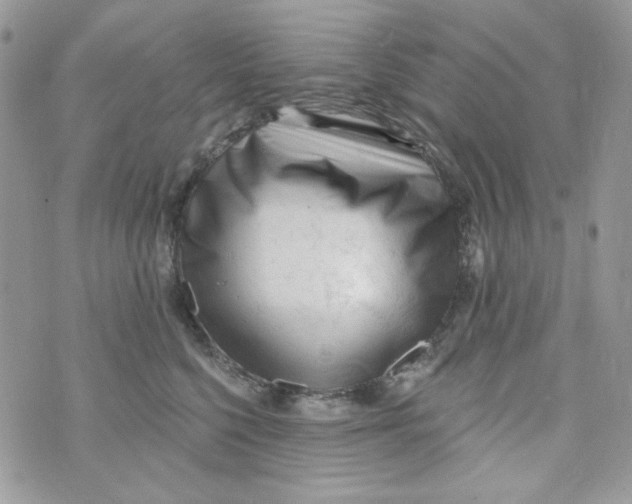 X0000071390568200607212240