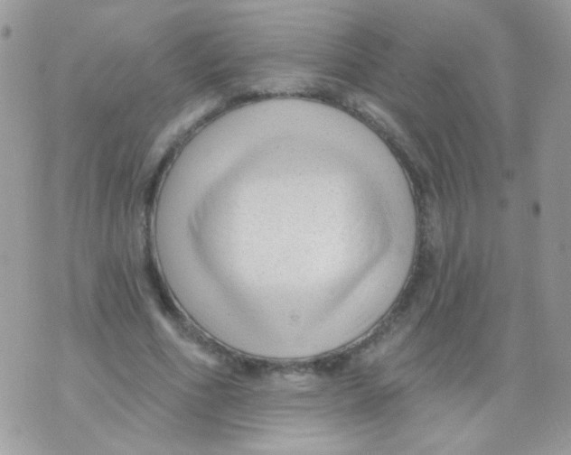X0000071390586200607212240