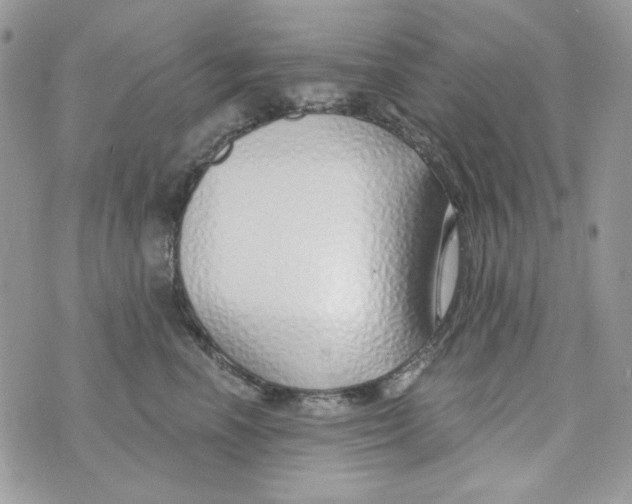 X0000071390666200607212239
