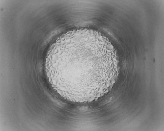 X0000071390687200607212238