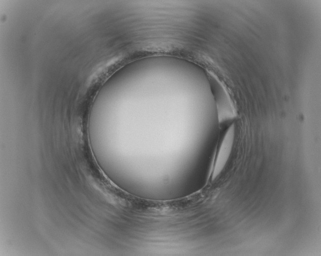 X0000071390688200607212238