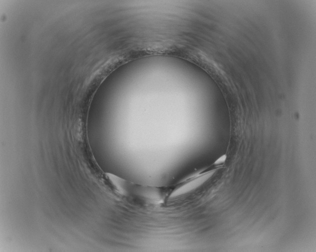 X0000071390689200607212238