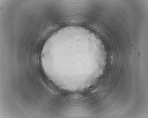 X0000071390695200607212238