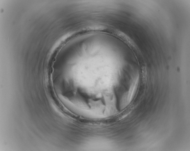X0000071390726200607212237