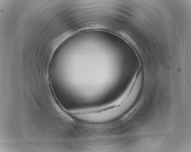 X0000071390797200607212236