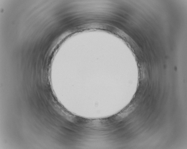 X0000071390828200607212235