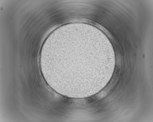 X0000071390856200607212236