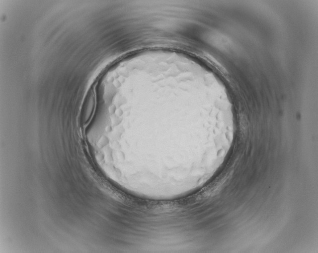 X0000071390891200607212235