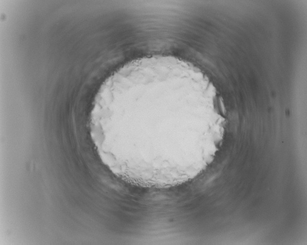 X0000071390913200607212233