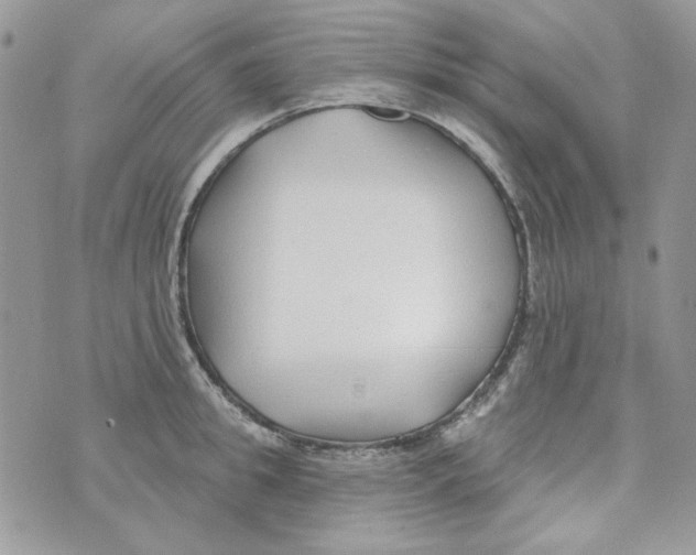 X0000071390949200607212234