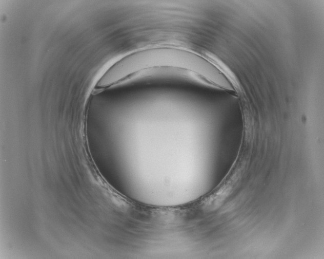 X0000071390956200607212234