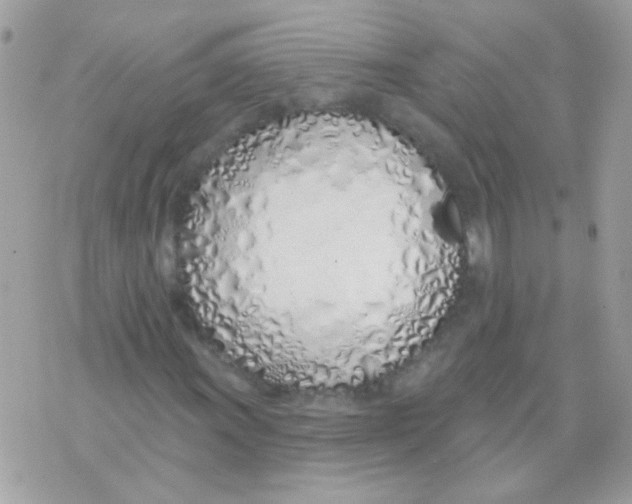 X0000071391011200607212232