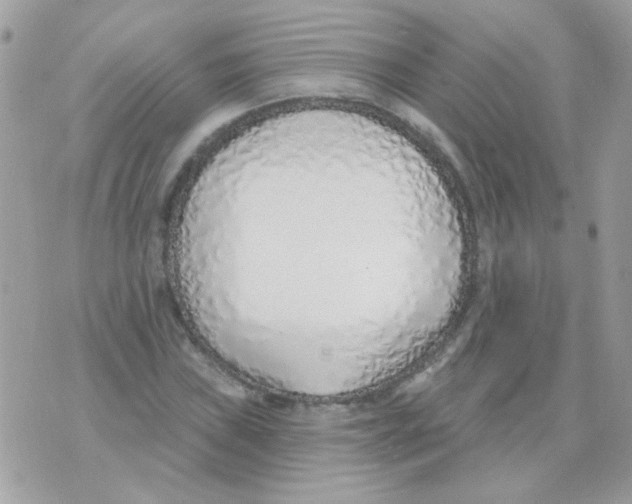 X0000071391019200607212232