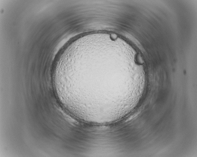 X0000071391023200607212232