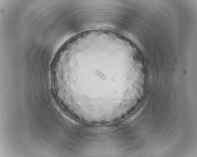 X0000071391079200607212232