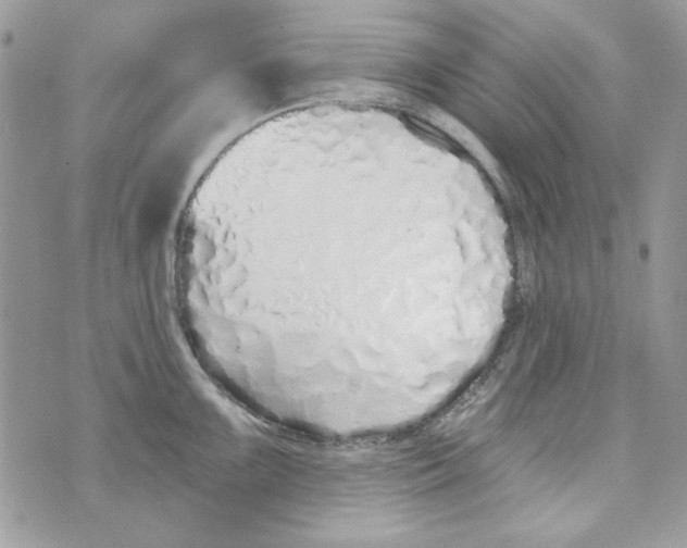 X0000071391099200607212231