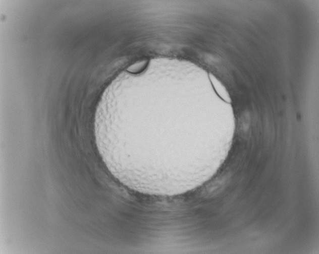 X0000071391105200607212230