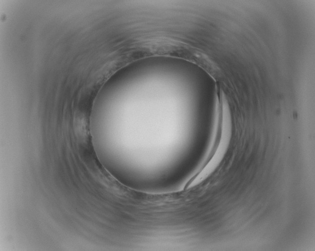 X0000071391108200607212230