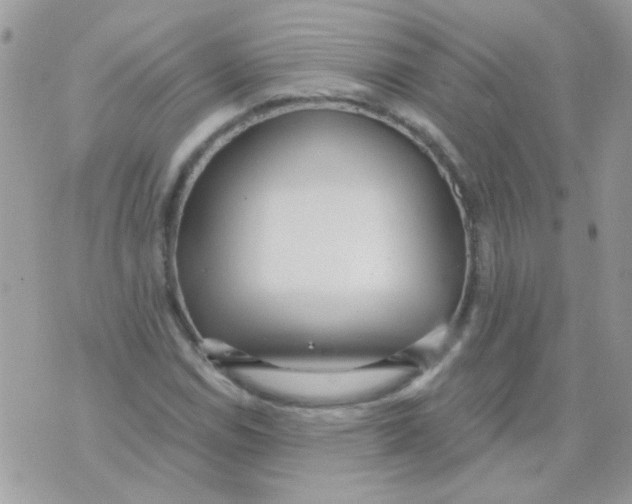 X0000071391114200607212230