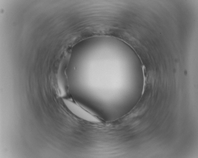 X0000071391202200607212229