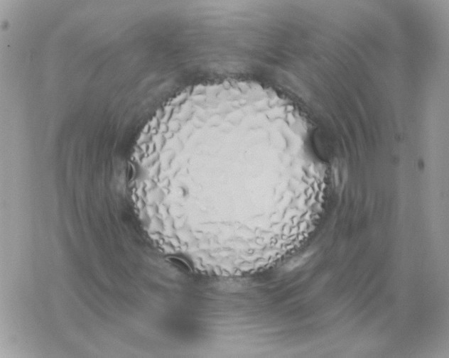 X0000071391251200607212229