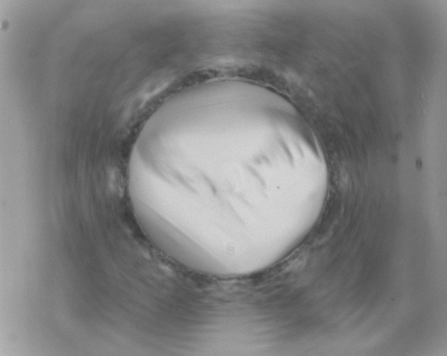 X0000071391253200607212229