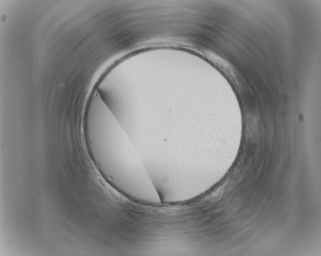 X0000071391288200607212228