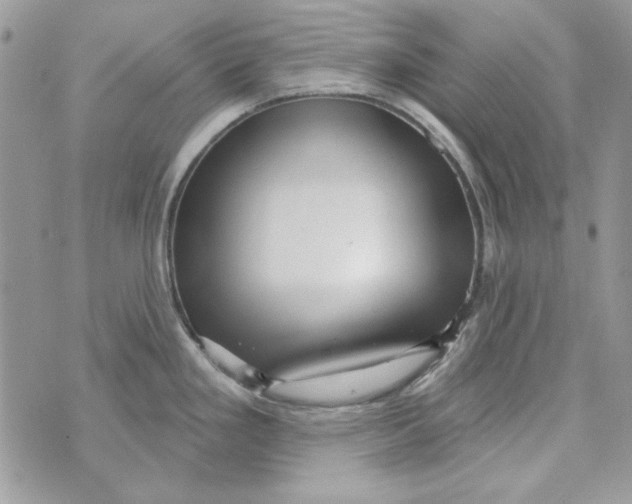 X0000071391293200607212228