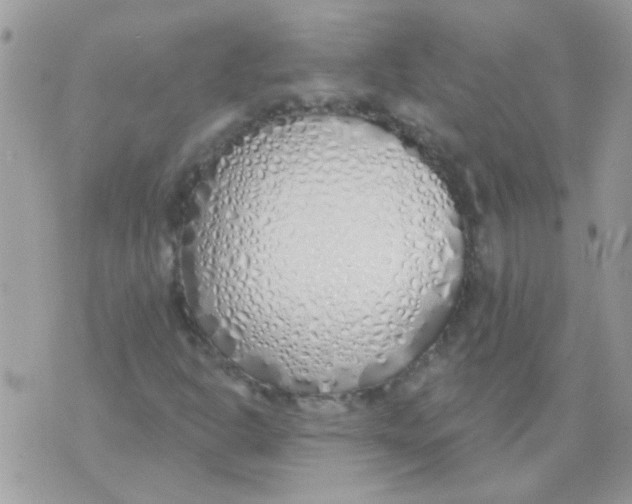 X0000071391302200607212227