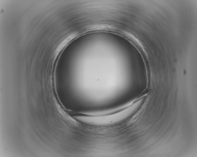 X0000071391330200607212228