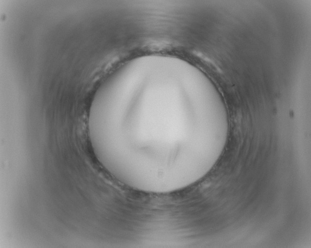 X0000071391349200607212227