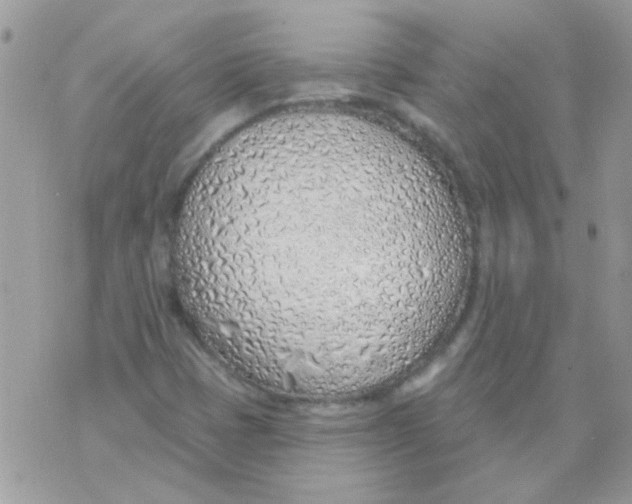 X0000071391401200607212226