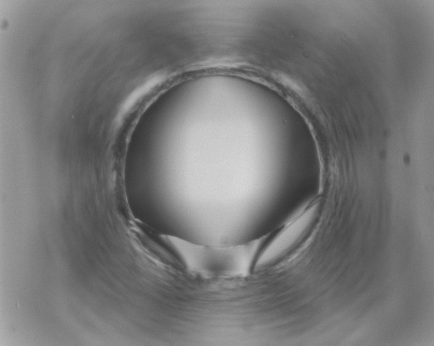 X0000071391406200607212226
